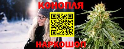 шишки Будённовск